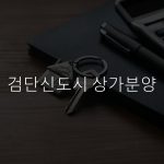신흥 도시에 대한 투자: 주택 할당의 세부 사항